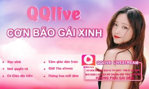 con-bao-gai-xinh-ung-dung-nha-cai-qqlive-app-android-226675334-8123