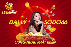 Chính sách đại lý